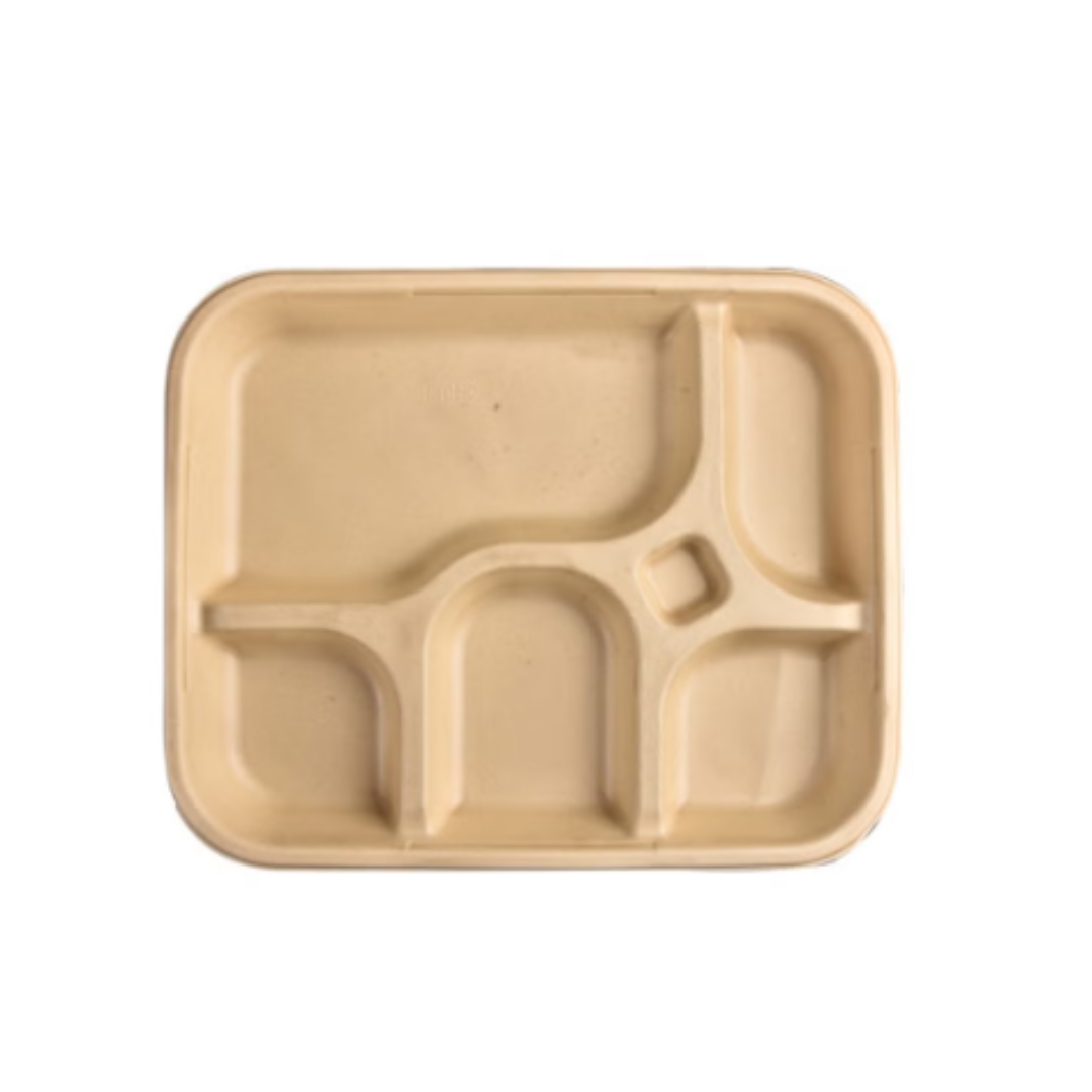 Chuk 5CP Sugarcane Bagasse Plates – 5-Compartment, Biodegradable, Pack of 25 for Parties & Catering