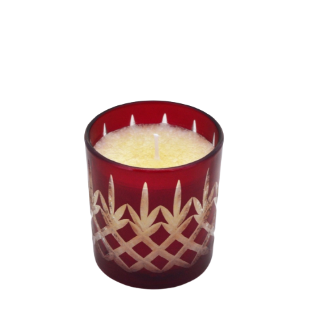 Eco-Friendly Marigold Bio-Degradable Candle – Long-Lasting 25-Hour Burn with Natural Wax